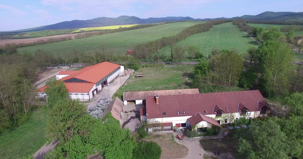  Farm in Hungary - studfarm for sale
